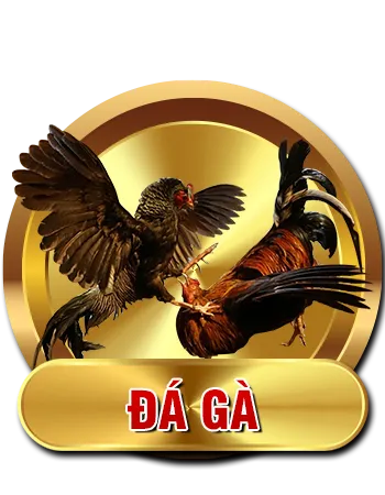 Đá gà